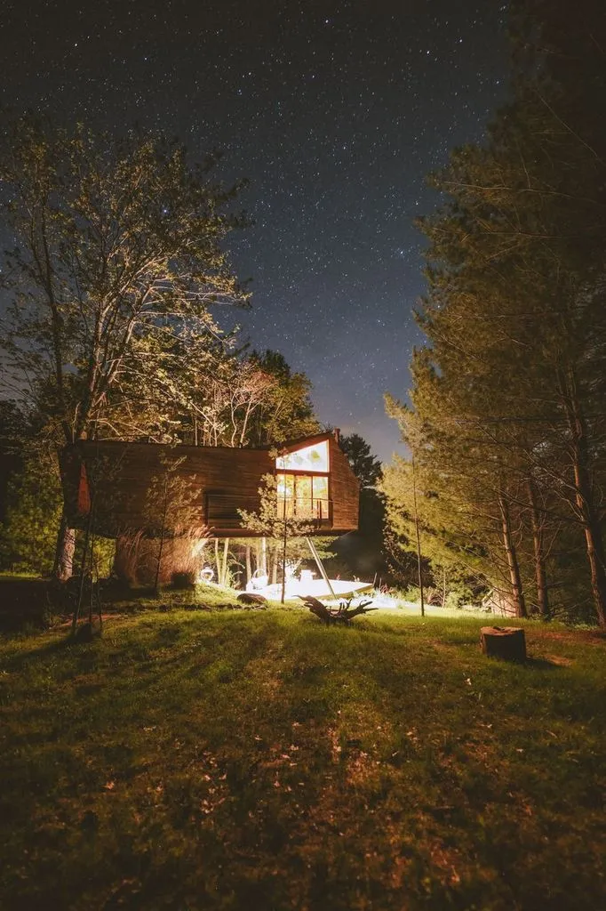 Willow Treehouse under a sky full of stars