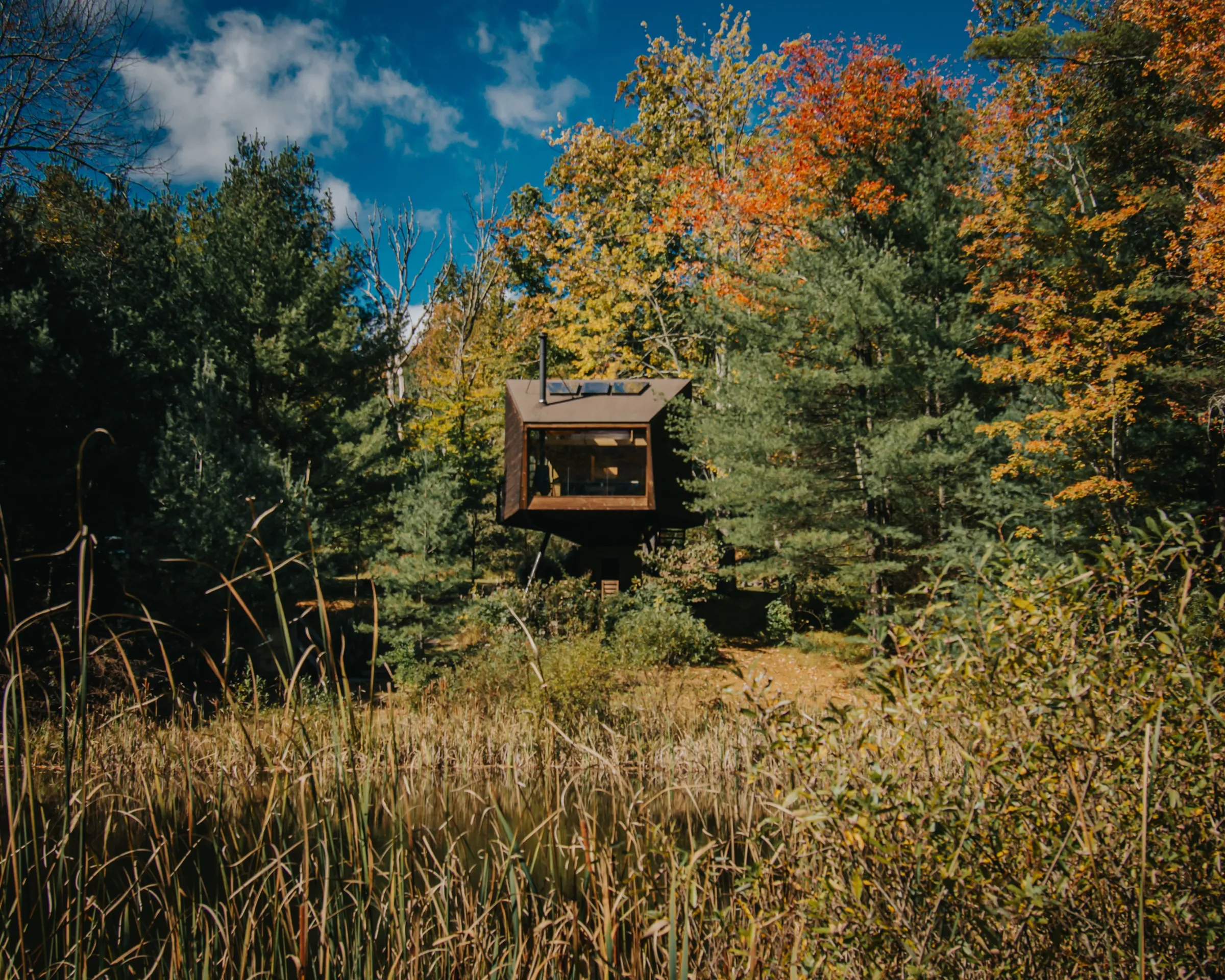 Willow Treehouse surrounded by fall foliage under blue sky