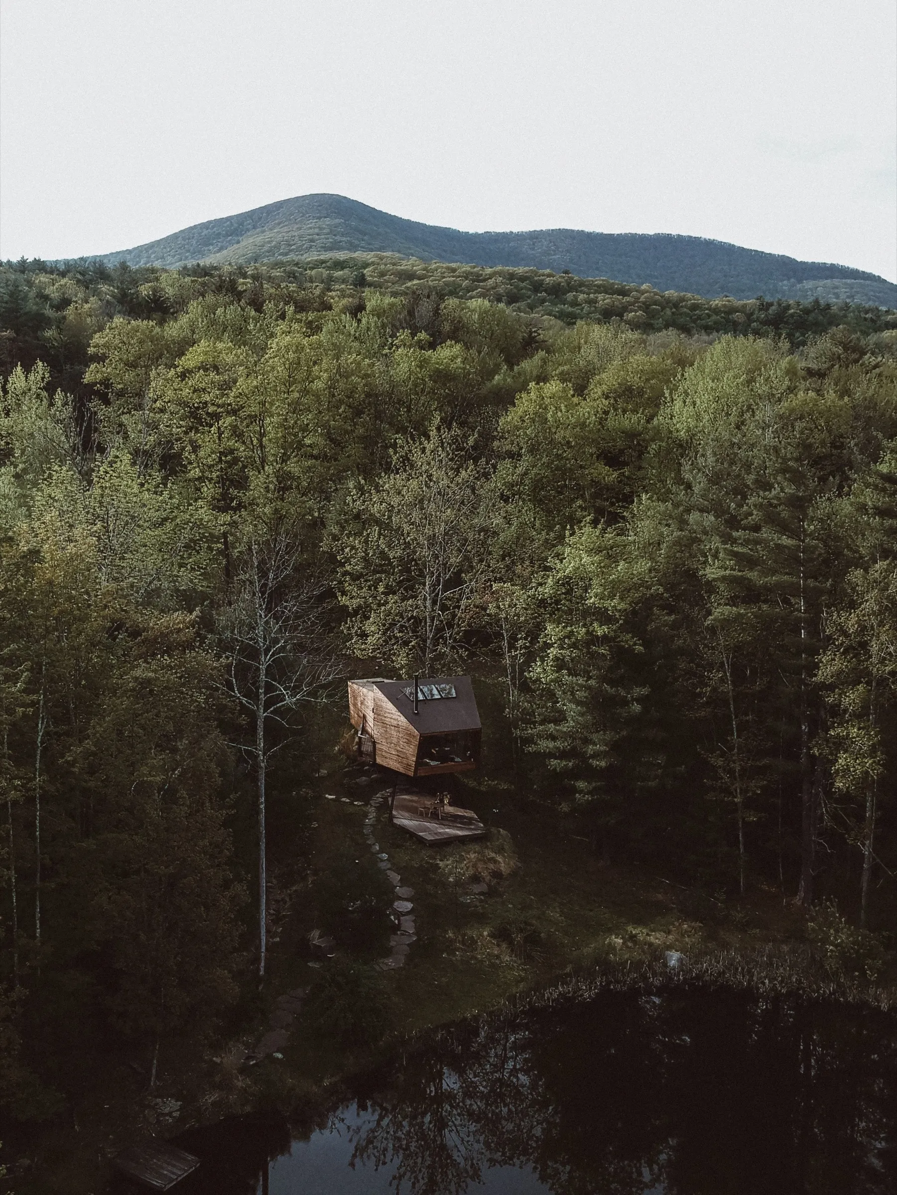 Willow Treehouse in summer